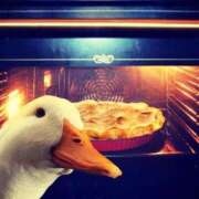 ヒメ日記 2025/12/22 16:39 投稿 るい 完熟ばなな八王子