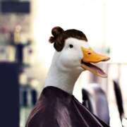 ヒメ日記 2025/12/23 11:19 投稿 るい 完熟ばなな八王子