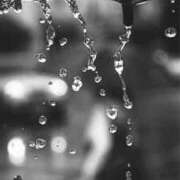 ヒメ日記 2025/12/24 14:29 投稿 るい 完熟ばなな八王子