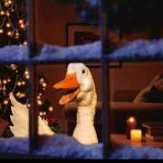 ヒメ日記 2025/12/24 18:39 投稿 るい 完熟ばなな八王子