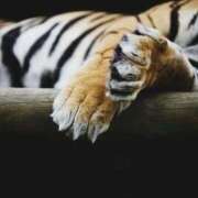 ヒメ日記 2025/12/28 17:59 投稿 るい 完熟ばなな八王子