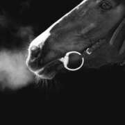 ヒメ日記 2025/12/29 21:39 投稿 るい 完熟ばなな八王子