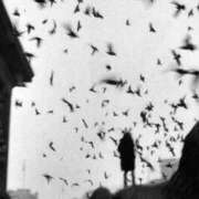 ヒメ日記 2026/01/01 16:09 投稿 るい 完熟ばなな八王子