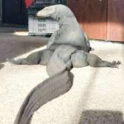 ヒメ日記 2026/01/04 13:29 投稿 るい 完熟ばなな八王子