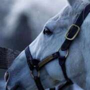 ヒメ日記 2026/01/08 11:29 投稿 るい 完熟ばなな八王子