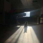 ヒメ日記 2026/01/08 14:19 投稿 るい 完熟ばなな八王子