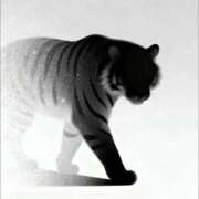 ヒメ日記 2026/01/12 17:49 投稿 るい 完熟ばなな八王子