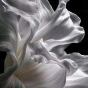 ヒメ日記 2026/01/13 15:19 投稿 るい 完熟ばなな八王子