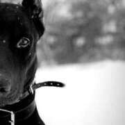 ヒメ日記 2026/01/15 18:09 投稿 るい 完熟ばなな八王子