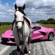 ヒメ日記 2026/01/18 14:19 投稿 るい 完熟ばなな八王子