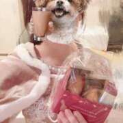 ヒメ日記 2025/12/27 12:31 投稿 アミ ラブコレクション