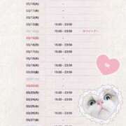 ヒメ日記 2026/03/04 23:16 投稿 アミ ラブコレクション