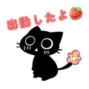 ヒメ日記 2026/05/05 16:16 投稿 アミ ラブコレクション