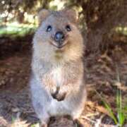 ヒメ日記 2025/11/10 19:03 投稿 かこ いわき小名浜ちゃんこ