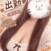 ヒメ日記 2026/10/08 18:43 投稿 かこ いわき小名浜ちゃんこ