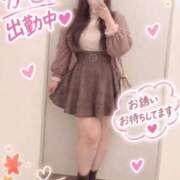 ヒメ日記 2026/10/12 14:23 投稿 かこ いわき小名浜ちゃんこ