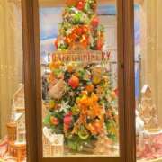 ヒメ日記 2025/12/14 19:27 投稿 ひすい 西船人妻花壇