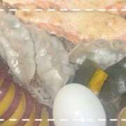 ヒメ日記 2026/02/17 22:40 投稿 れあ イキなり生彼女from大宮