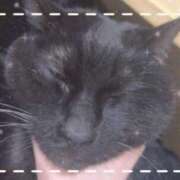 れあ 🚗³₃ イキなり生彼女from大宮