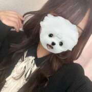 ヒメ日記 2025/11/22 09:11 投稿 あさぎ 横浜人妻花壇本店