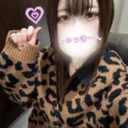 つむぎ 11/24 出勤🪽 秋葉原コスプレ学園in仙台