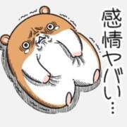 ヒメ日記 2025/12/27 20:33 投稿 つむぎ 秋葉原コスプレ学園in仙台