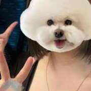 ヒメ日記 2025/09/18 23:10 投稿 りる 大塚デリ姫