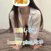 ヒメ日記 2025/11/02 17:21 投稿 なゆ★圧倒的スタイルの持ち主♥ BUNNY PLAS