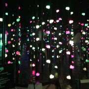 ヒメ日記 2025/08/29 15:18 投稿 こゆき ドンファン