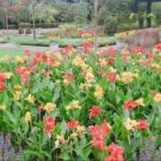 ヒメ日記 2025/08/30 15:34 投稿 こゆき ドンファン