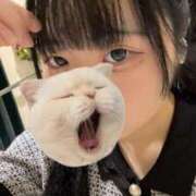 ヒメ日記 2025/09/01 23:57 投稿 藤堂ユリカ メイドin中野（東京ハレ系）