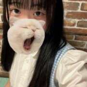 ヒメ日記 2025/09/03 10:05 投稿 藤堂ユリカ メイドin中野（東京ハレ系）