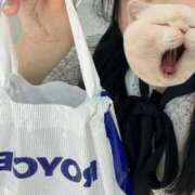 ヒメ日記 2025/09/06 22:08 投稿 藤堂ユリカ メイドin中野（東京ハレ系）