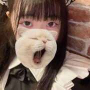 ヒメ日記 2025/09/11 11:05 投稿 藤堂ユリカ メイドin中野（東京ハレ系）