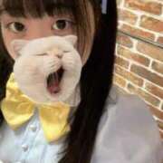 ヒメ日記 2025/09/13 11:47 投稿 藤堂ユリカ メイドin中野（東京ハレ系）