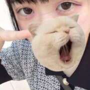 ヒメ日記 2025/09/14 14:03 投稿 藤堂ユリカ メイドin中野（東京ハレ系）