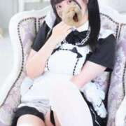 ヒメ日記 2025/09/23 10:52 投稿 藤堂ユリカ メイドin中野（東京ハレ系）