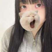 ヒメ日記 2025/09/24 15:43 投稿 藤堂ユリカ メイドin中野（東京ハレ系）