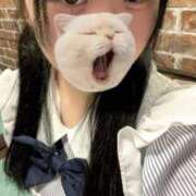 ヒメ日記 2025/09/27 19:10 投稿 藤堂ユリカ メイドin中野（東京ハレ系）