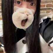 ヒメ日記 2025/10/03 12:21 投稿 藤堂ユリカ メイドin中野（東京ハレ系）