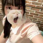 ヒメ日記 2025/10/04 18:13 投稿 藤堂ユリカ メイドin中野（東京ハレ系）