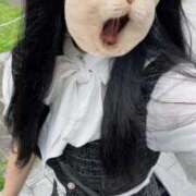 ヒメ日記 2025/10/07 10:12 投稿 藤堂ユリカ メイドin中野（東京ハレ系）