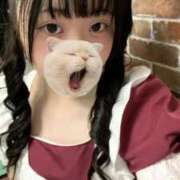 ヒメ日記 2025/10/17 20:16 投稿 藤堂ユリカ メイドin中野（東京ハレ系）