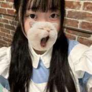 ヒメ日記 2025/10/22 11:30 投稿 藤堂ユリカ メイドin中野（東京ハレ系）