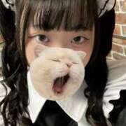 ヒメ日記 2025/10/24 19:29 投稿 藤堂ユリカ メイドin中野（東京ハレ系）