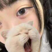 ヒメ日記 2025/10/25 20:51 投稿 藤堂ユリカ メイドin中野（東京ハレ系）