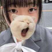 ヒメ日記 2025/10/28 11:19 投稿 藤堂ユリカ メイドin中野（東京ハレ系）