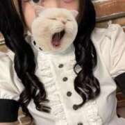 ヒメ日記 2025/10/30 15:32 投稿 藤堂ユリカ メイドin中野（東京ハレ系）