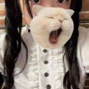 ヒメ日記 2025/11/03 18:45 投稿 藤堂ユリカ メイドin中野（東京ハレ系）