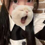 ヒメ日記 2025/11/10 09:46 投稿 藤堂ユリカ メイドin中野（東京ハレ系）